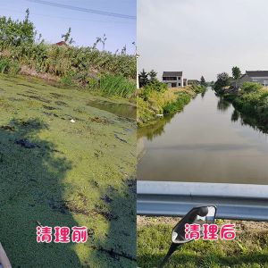 鹽城客戶鄉鎮河道水草清理效果展示